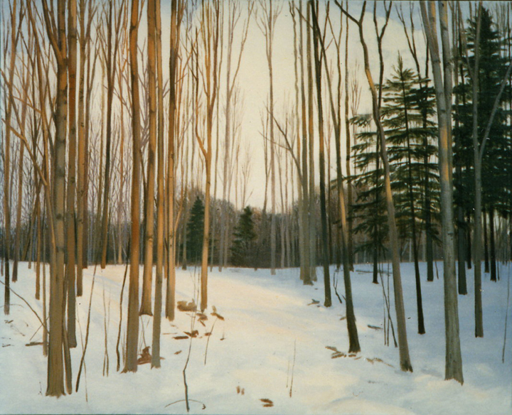 L2.11 - cold day, warm light